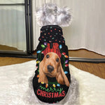 Personalized Dog Christmas Hoodie - Close-up of dog wearing it with sample pet photo | Our Phoenix Rise
