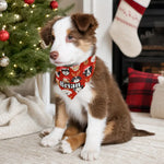 Custom Name Christmas Dog Bandana - Lifestyle Mockup Shiba Inu | Our Phoenix Rise